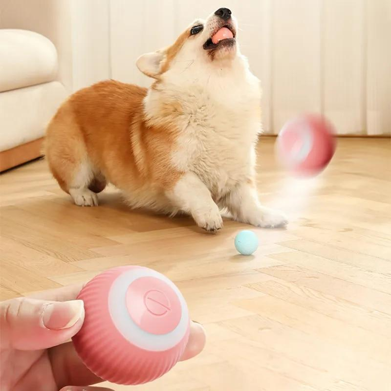 Interactive Toy Ball