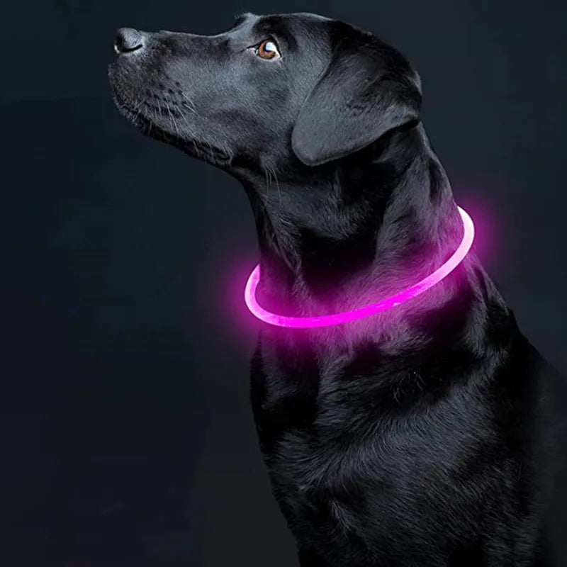 Luminous LED Collar