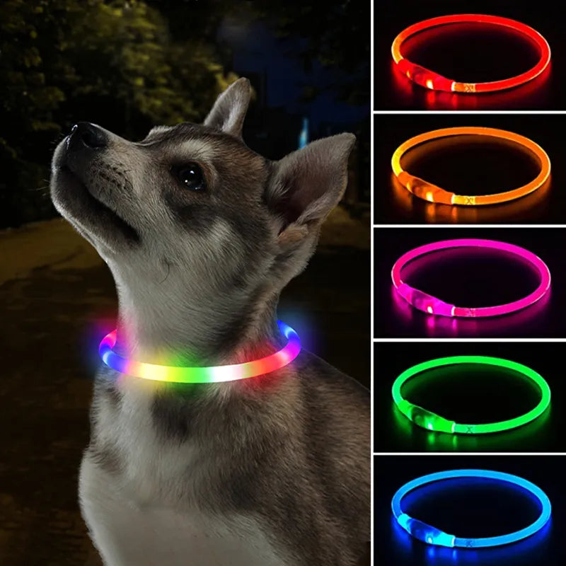Luminous LED Collar